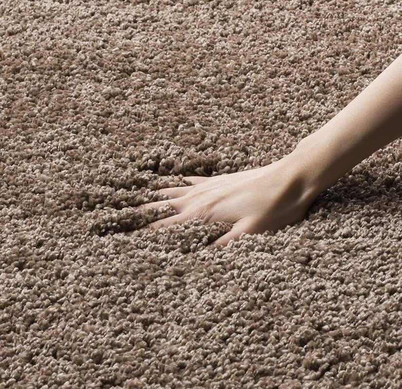 Beige Plush Shaggy Carpet